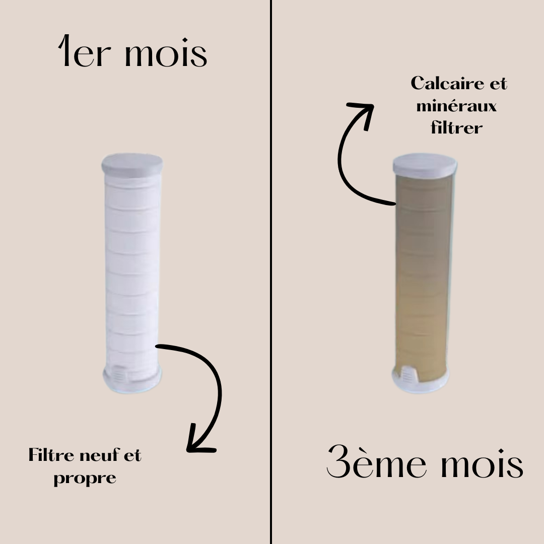 Pommeau Filtrant PUREYA